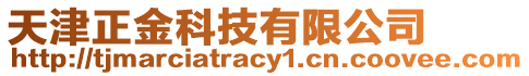 天津正金科技有限公司