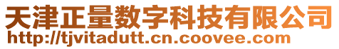 天津正量數字科技有限公司
