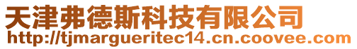 天津弗德斯科技有限公司