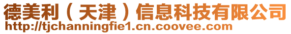 德美利(天津)信息科技有限公司