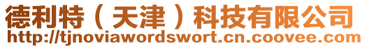 德利特(天津)科技有限公司