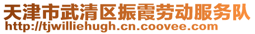 天津市武清區振霞勞動服務隊