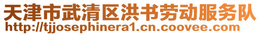 天津市武清區(qū)洪書勞動服務(wù)隊