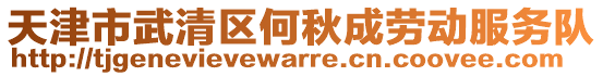 天津市武清區(qū)何秋成勞動服務(wù)隊