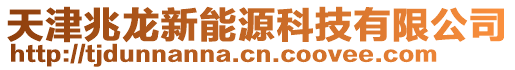 天津兆龍新能源科技有限公司