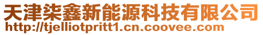 天津柒鑫新能源科技有限公司