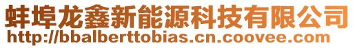 蚌埠龍鑫新能源科技有限公司
