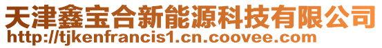 天津鑫寶合新能源科技有限公司