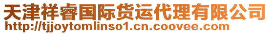 天津祥睿國際貨運(yùn)代理有限公司