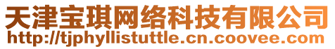 天津寶琪網絡科技有限公司