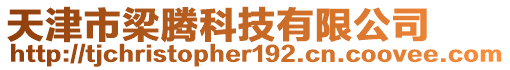 天津市梁騰科技有限公司