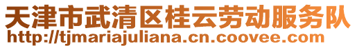 天津市武清區(qū)桂云勞動服務(wù)隊