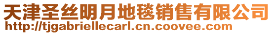 天津圣絲明月地毯銷售有限公司