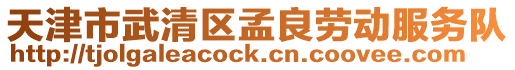 天津市武清區(qū)孟良勞動(dòng)服務(wù)隊(duì)