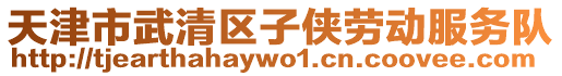 天津市武清區(qū)子俠勞動(dòng)服務(wù)隊(duì)
