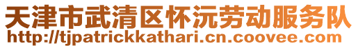 天津市武清區懷沅勞動服務隊