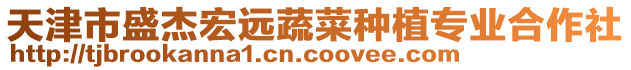 天津市盛杰宏遠(yuǎn)蔬菜種植專業(yè)合作社