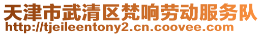 天津市武清區(qū)梵響勞動服務(wù)隊