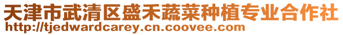 天津市武清區(qū)盛禾蔬菜種植專業(yè)合作社