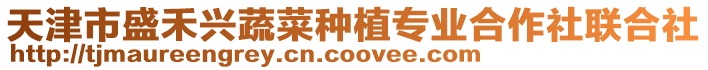 天津市盛禾興蔬菜種植專業合作社聯合社