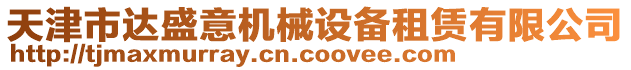 天津市達(dá)盛意機(jī)械設(shè)備租賃有限公司
