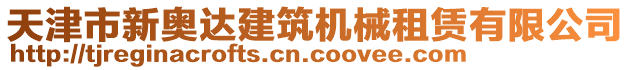 天津市新奧達建筑機械租賃有限公司