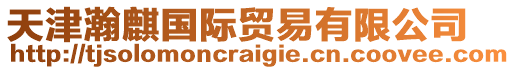 天津瀚麒國際貿易有限公司