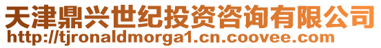天津鼎興世紀投資咨詢有限公司