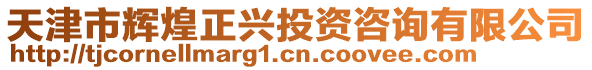 天津市輝煌正興投資咨詢有限公司