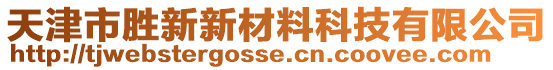 天津市勝新新材料科技有限公司