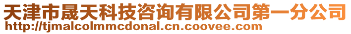 天津市晟天科技咨詢有限公司第一分公司