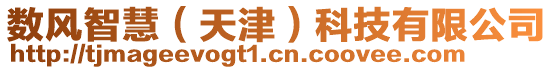 數(shù)風(fēng)智慧（天津）科技有限公司