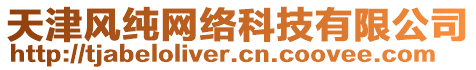 天津風純網(wǎng)絡(luò)科技有限公司