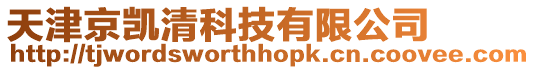 天津京凱清科技有限公司