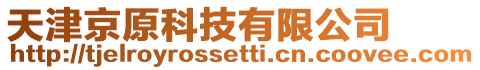 天津京原科技有限公司