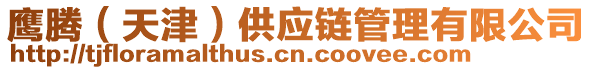 鷹騰（天津）供應(yīng)鏈管理有限公司