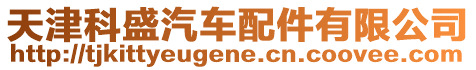 天津科盛汽車配件有限公司