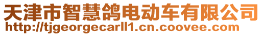 天津市智慧鴿電動車有限公司