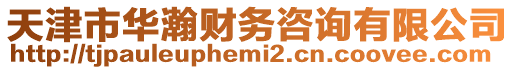 天津市華瀚財務咨詢有限公司