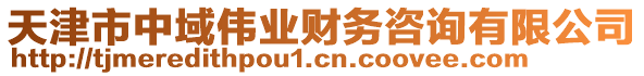 天津市中域偉業(yè)財(cái)務(wù)咨詢(xún)有限公司