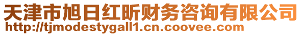 天津市旭日紅昕財(cái)務(wù)咨詢有限公司