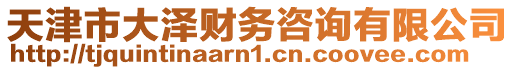 天津市大澤財務(wù)咨詢有限公司