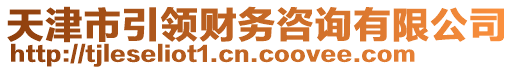 天津市引領(lǐng)財(cái)務(wù)咨詢有限公司