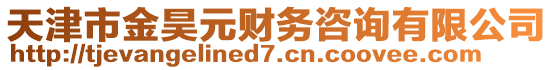 天津市金昊元財(cái)務(wù)咨詢有限公司