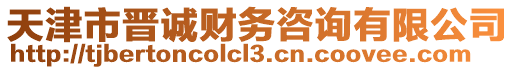 天津市晉誠財務(wù)咨詢有限公司