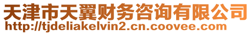 天津市天翼財(cái)務(wù)咨詢有限公司