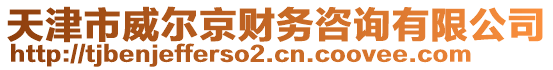 天津市威爾京財(cái)務(wù)咨詢有限公司