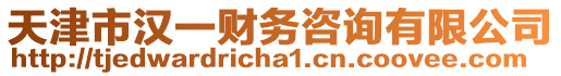 天津市漢一財務咨詢有限公司