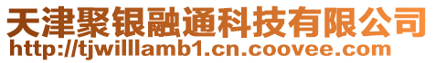 天津聚銀融通科技有限公司