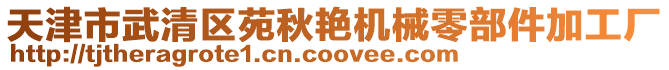 天津市武清區(qū)苑秋艷機(jī)械零部件加工廠